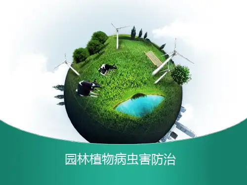 园林植物病虫害防治项目四 园林植物常见害虫的识别与防治
