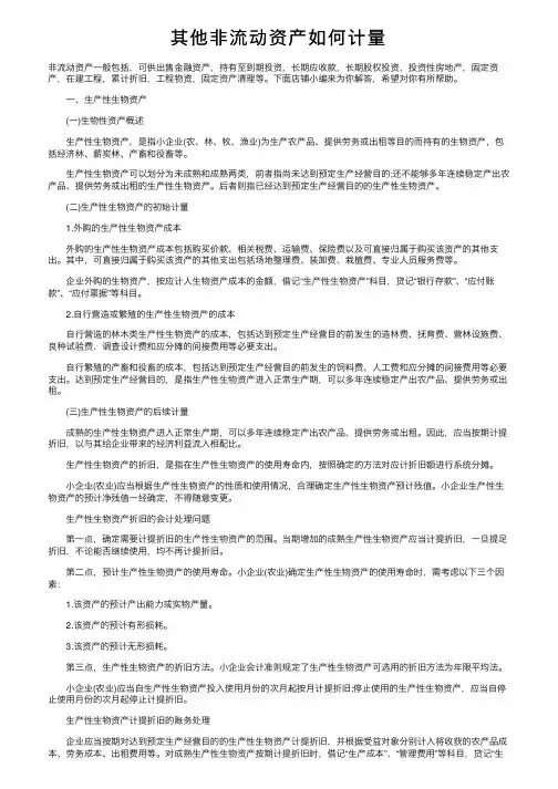 其他非流动资产如何计量