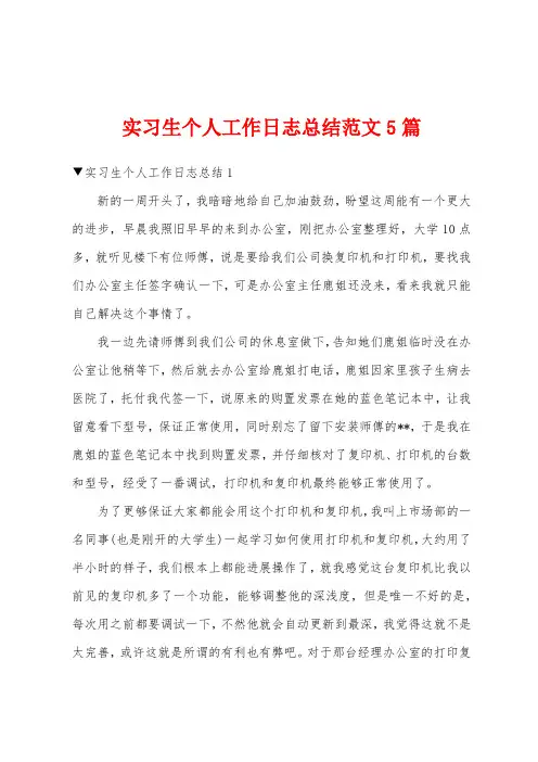 实习生个人工作日志总结范文5篇