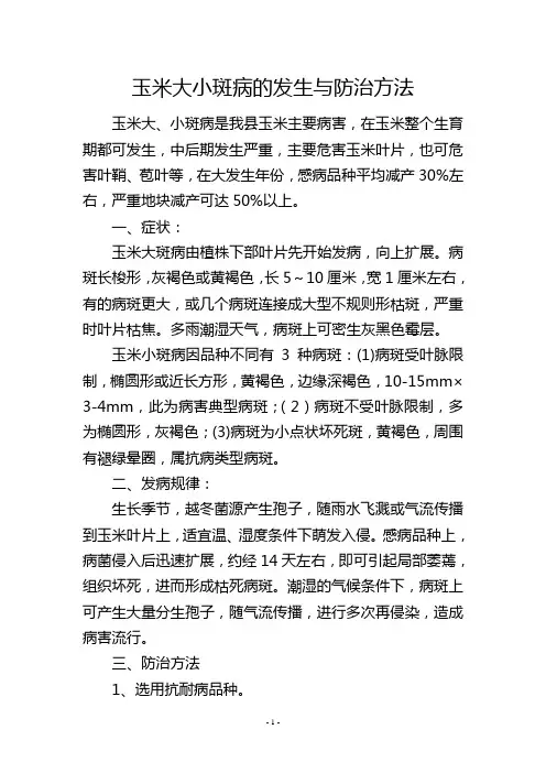 玉米大小斑病的发生与防治方法