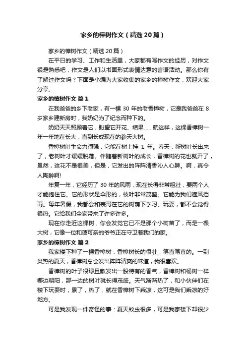 家乡的樟树作文（精选20篇）