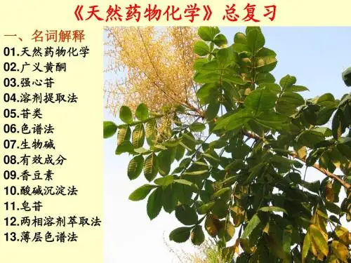 天然药物化学总复