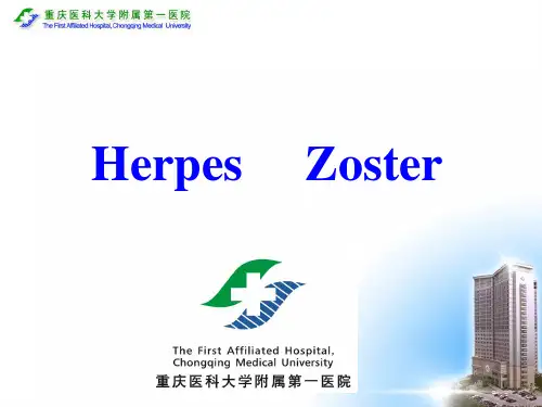 Herpes Zoster带状疱疹
