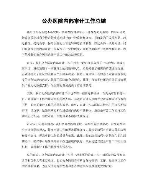 公办医院内部审计工作总结