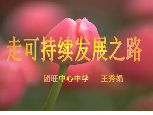 资源环境问题PPT课件