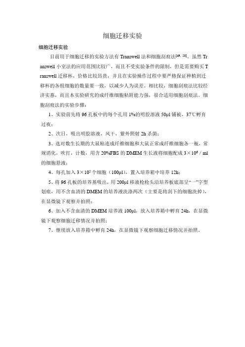 细胞迁移实验