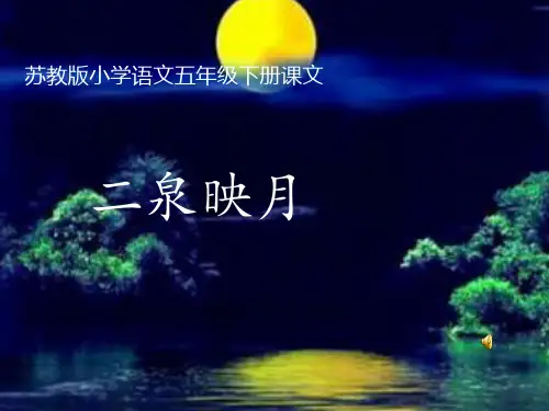 苏教版小学语文五年级下册课文   《二泉映月》ppt课件(1)