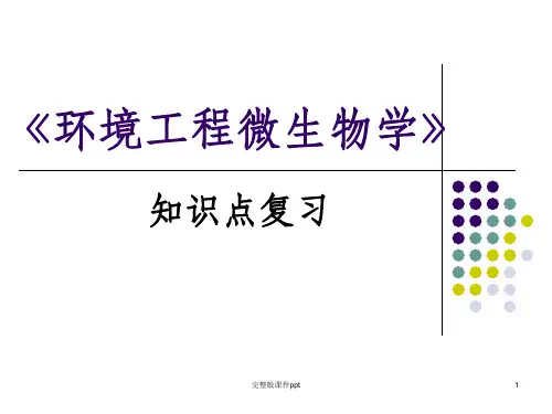 环境工程微生物学》知识点