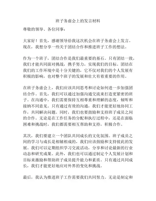 班子务虚会上的发言材料