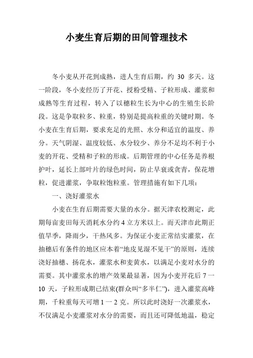 小麦生育后期的田间管理技术