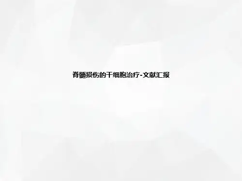 脊髓损伤的干细胞治疗-文献汇报