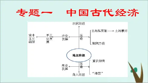 艺考生高考历史复习中国古代经济之农业和手工业ppt