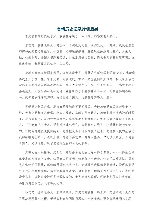 唐朝历史记录片观后感