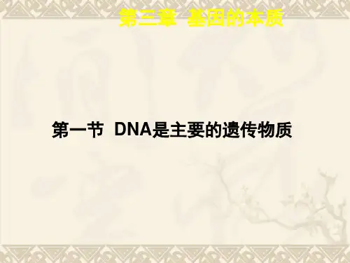 高中生物必修二第三章《基因的本质》PPT 课件精选全文