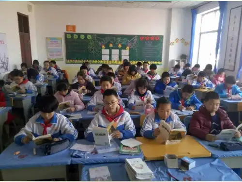 沈石溪动物小说读书交流会
