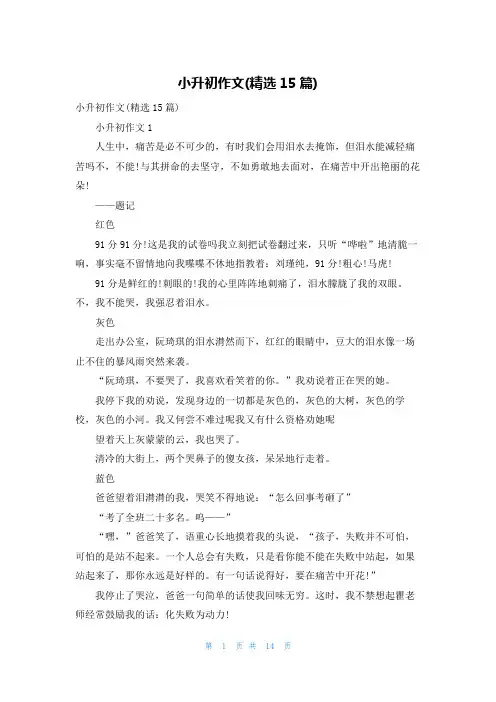 小升初作文(精选15篇)_2