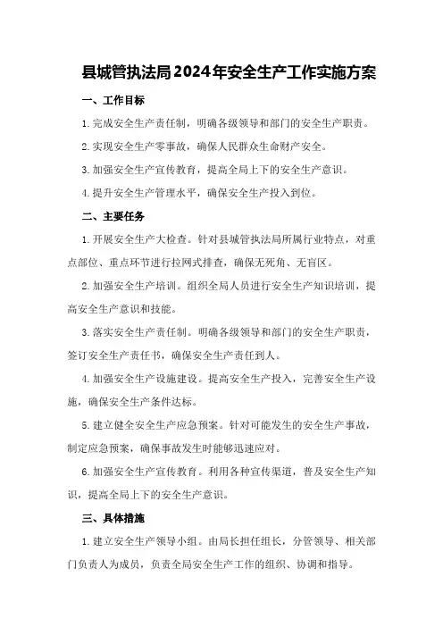 县城管执法局2024年安全生产工作实施方案
