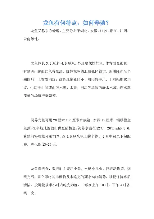 龙鱼有何特点,如何养殖？