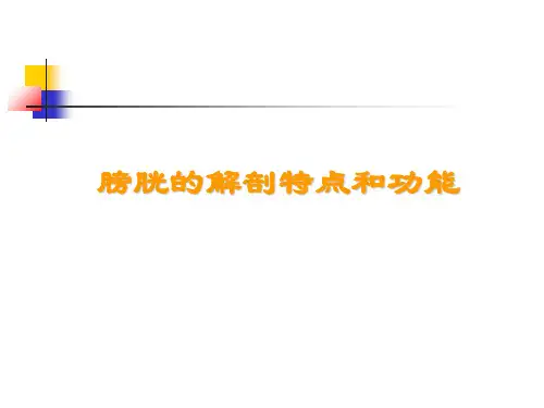 膀胱癌讲课ppt课件