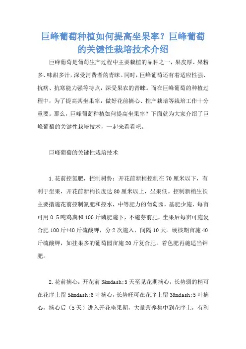巨峰葡萄种植如何提高坐果率？巨峰葡萄的关键性栽培技术介绍