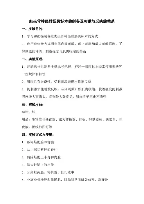 蛙坐骨神经腓肠肌标本的制备及刺激与反映的关系