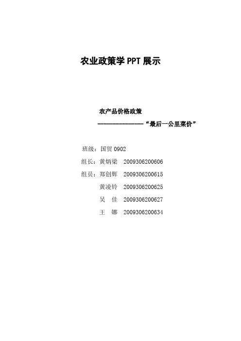 农业政策学PPT展示