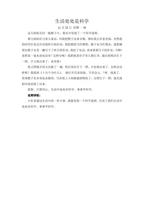 (最新)24年秋统编三年级语文上册语文园地二习作例文