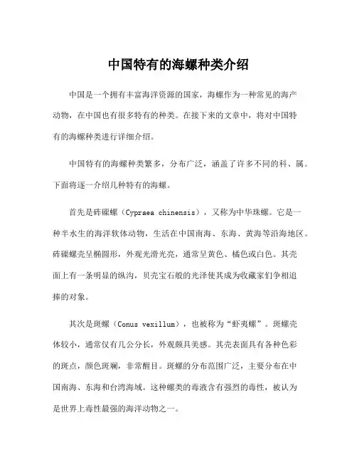 中国特有的海螺种类介绍