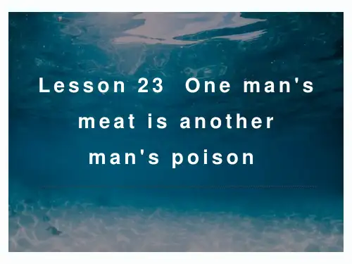新概念英语第三册PPT课件：NCE3_lesson23(共18页)