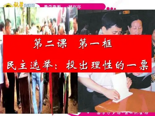 政治：1.2.1《民主选举：投出理性的一票》课件(新人教必修2)
