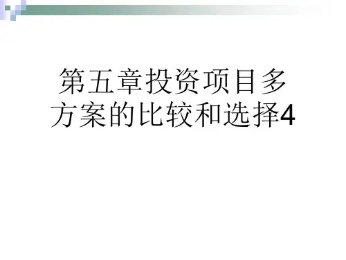 第五章投资项目多方案的比较和选择4
