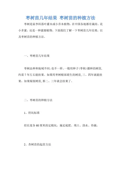 枣树苗几年结果 枣树苗的种植方法