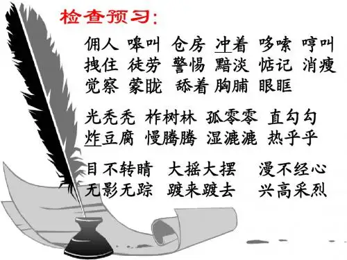 最新人教版小学六年级语文上册24 金色的脚印公开课PPT课件