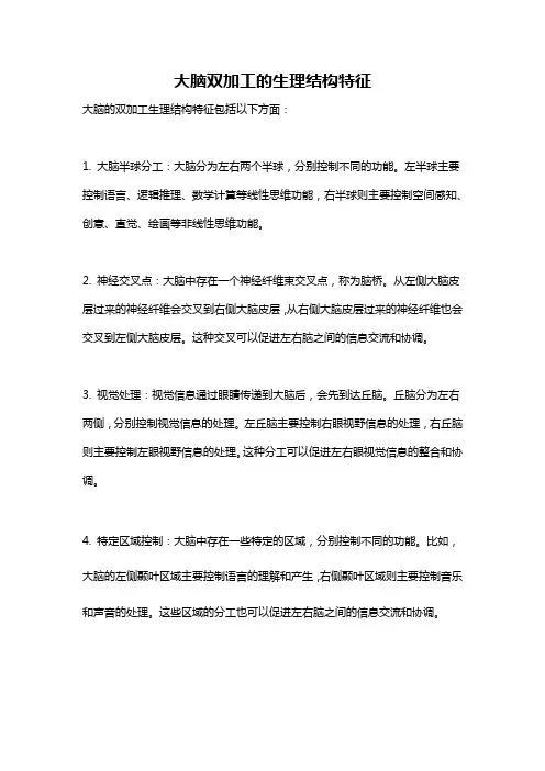 大脑双加工的生理结构特征