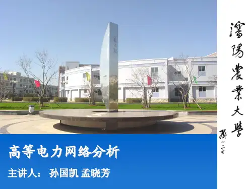 高等电力网络分析 第一章