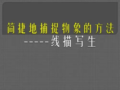 人教版高中美术 第五课 简洁地捕捉物象的方法——线描写生 课件 (4)