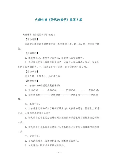 大班体育《好玩的梯子》教案5篇