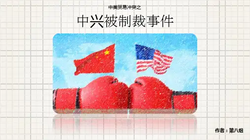中美贸易战之中兴制裁.ppt