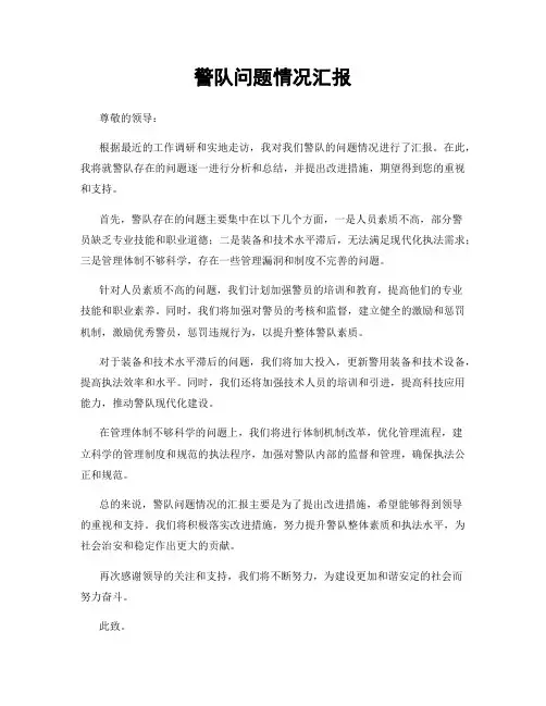 警队问题情况汇报