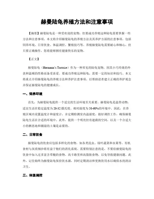 赫曼陆龟养殖方法和注意事项