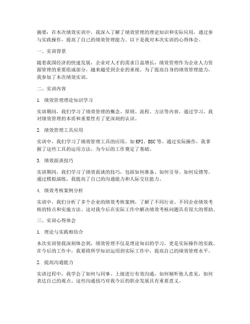 绩效实训报告心得体会