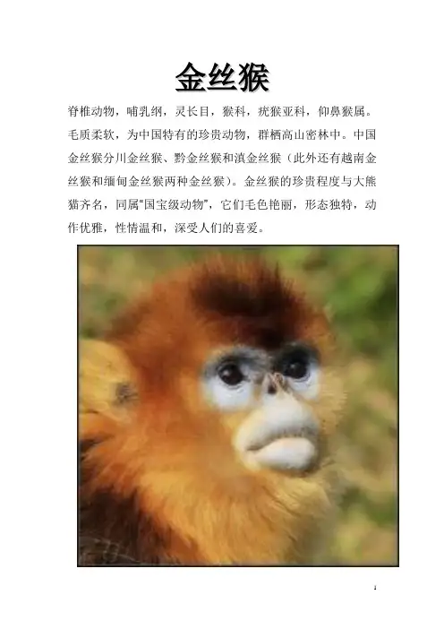 珍稀动物
