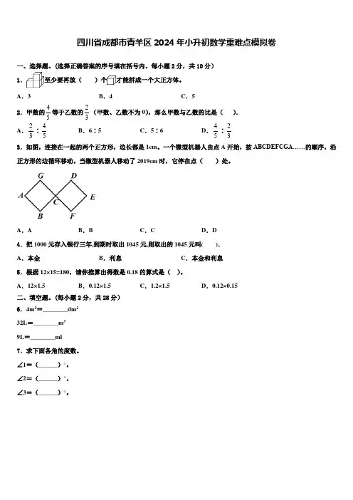 四川省成都市青羊区2024年小升初数学重难点模拟卷含解析