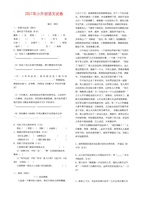 2017年人教版小升初语文试卷