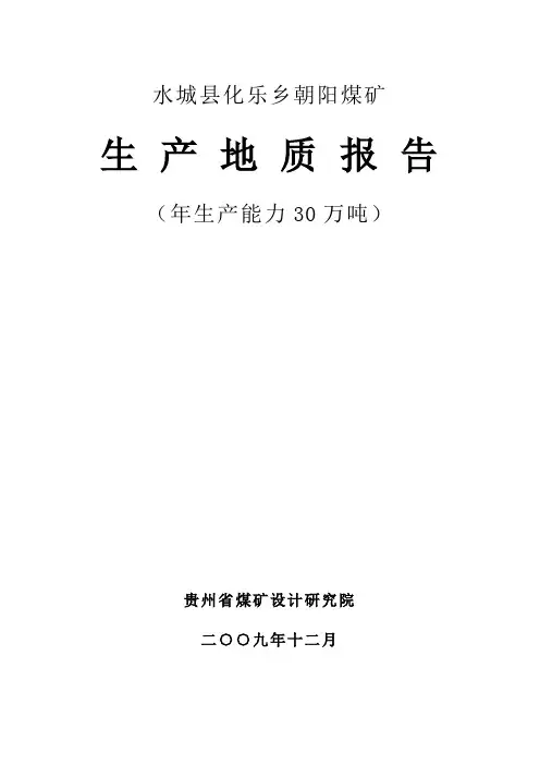 水城县化乐乡朝阳煤矿生产地质报告【范本模板】