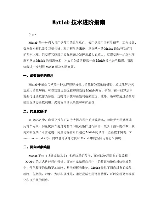 Matlab技术进阶指南