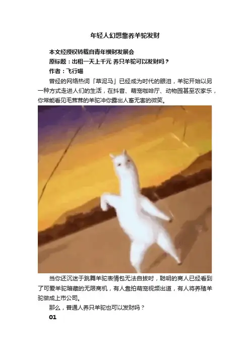 年轻人幻想靠养羊驼发财