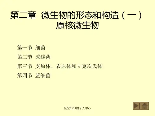普通生物学ppt课件第二章微生物的形态和构造一原核微生物