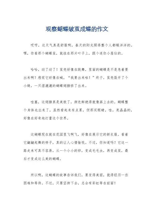 观察蝴蝶破茧成蝶的作文