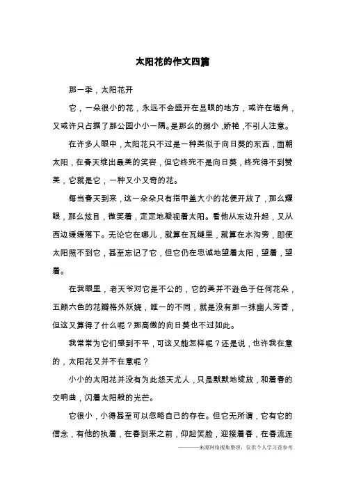 太阳花的作文四篇